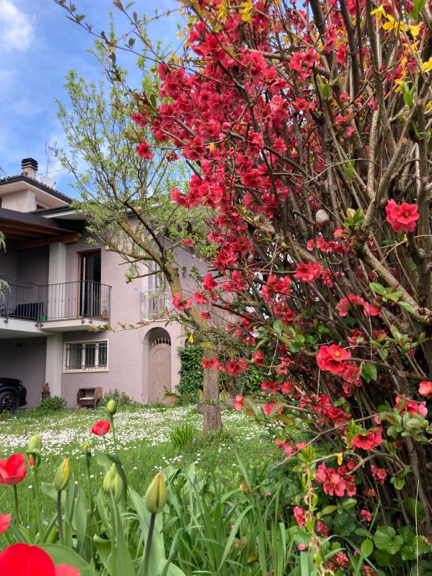 Al Clisi Graziosa Mansarda Apartment Villanuova sul clisi Exterior photo
